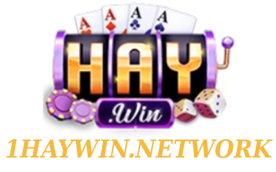 1haywin.network