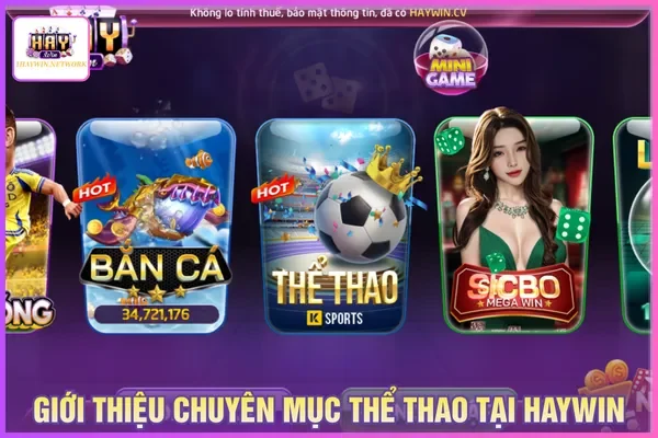 Sảnh thể thao Haywin diễn ra nhiều trận đấu lớn mỗi ngày