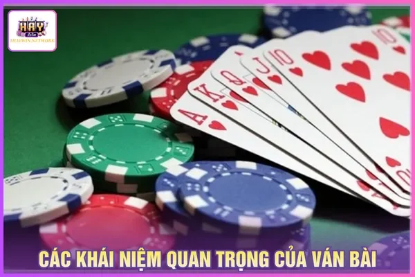 Thuật ngữ xuất hiện phổ biến tối ưu quyết định ra bài